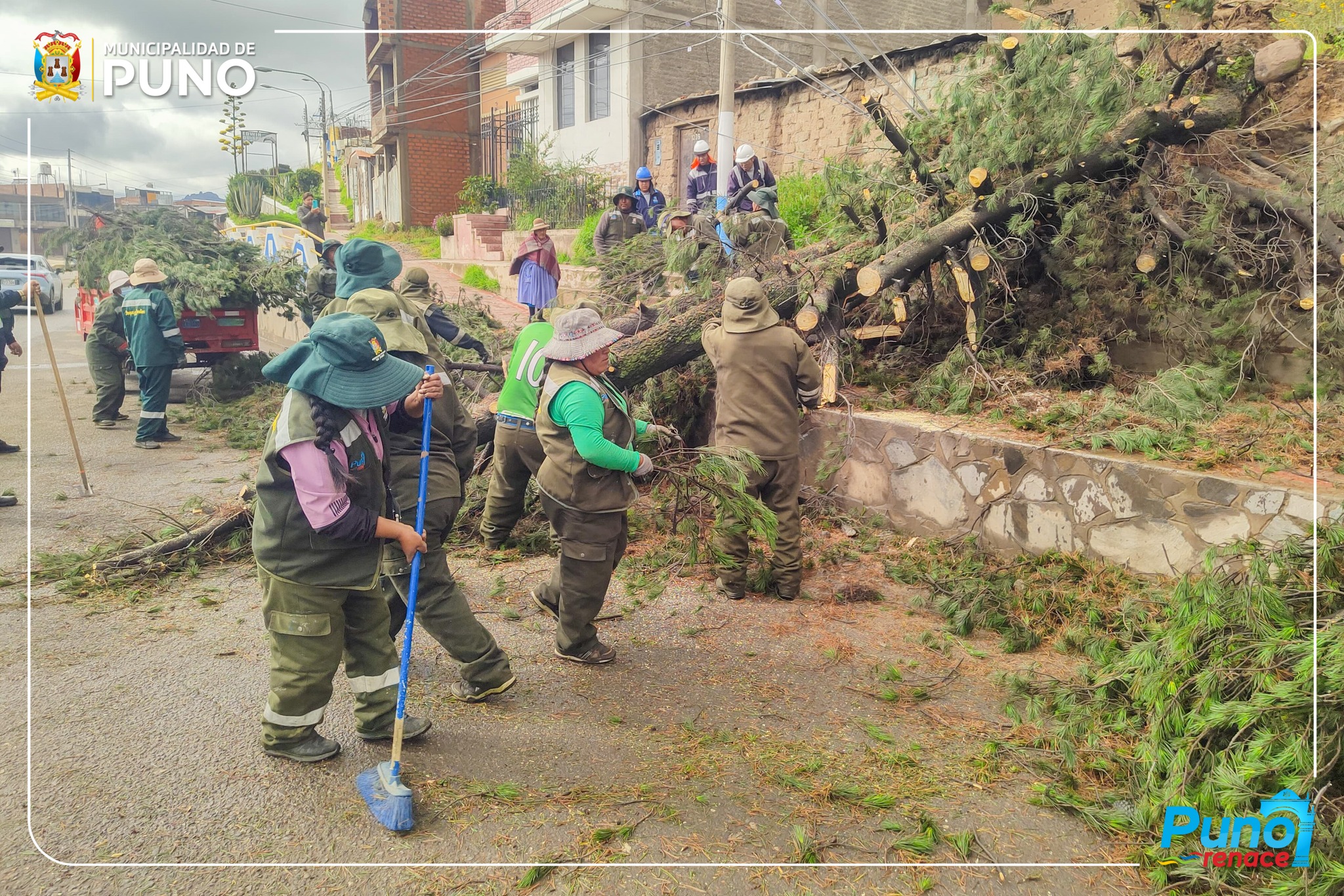 Municipalidad Provincial de Puno