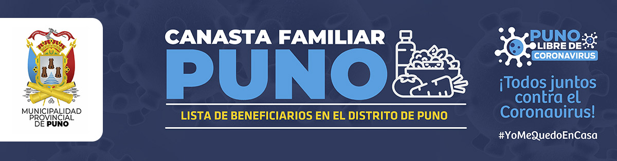 CANASTA BASICA FAMILIAR MUNI PUNO